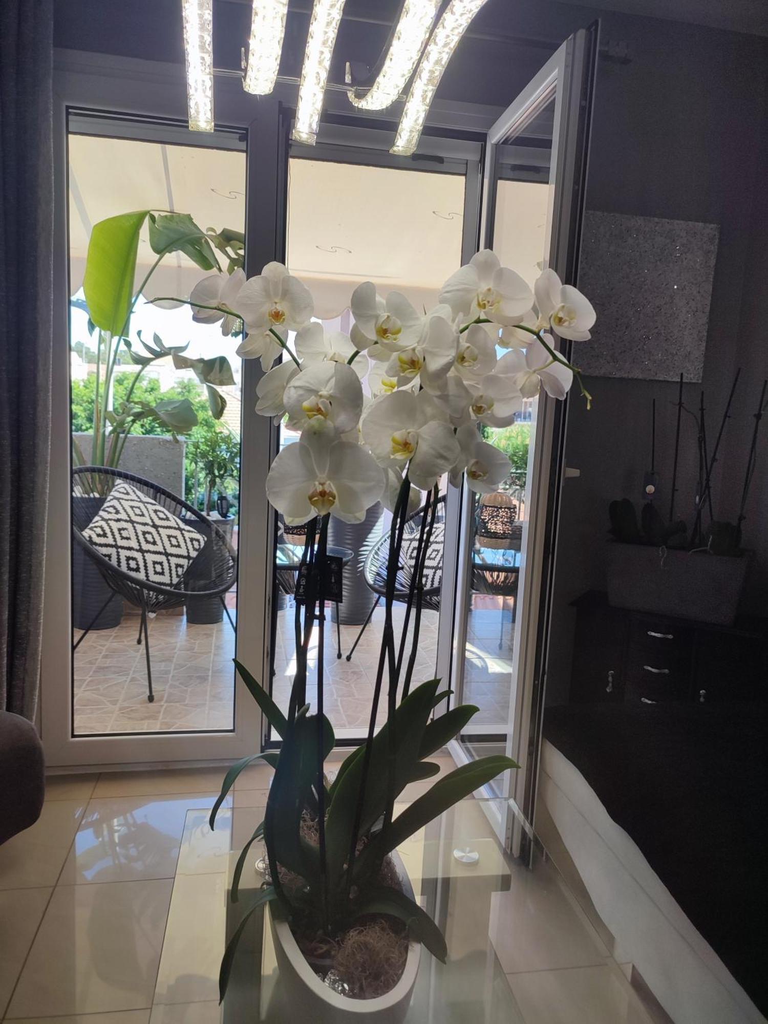 Diamond City Lux Apartment Argostoli  Exterior foto